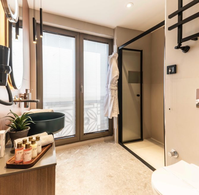 Deluxe Double or Twin Room